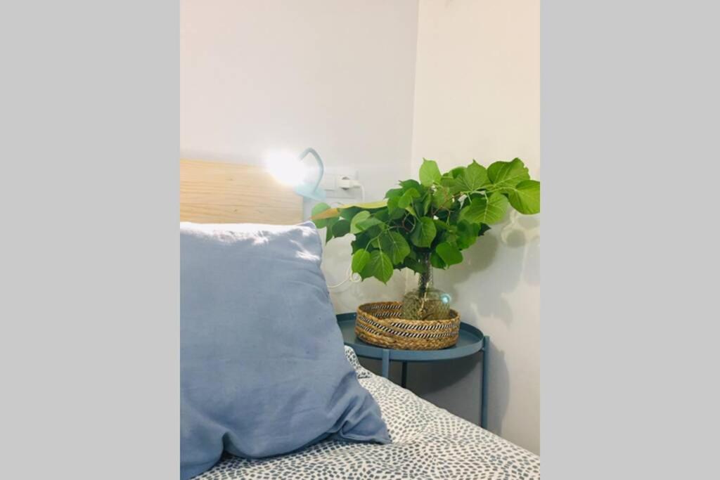 그라나다 Apartamento Centro Catedral Botanico 아파트 외부 사진