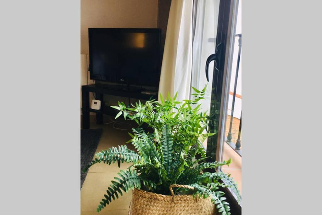 그라나다 Apartamento Centro Catedral Botanico 아파트 외부 사진
